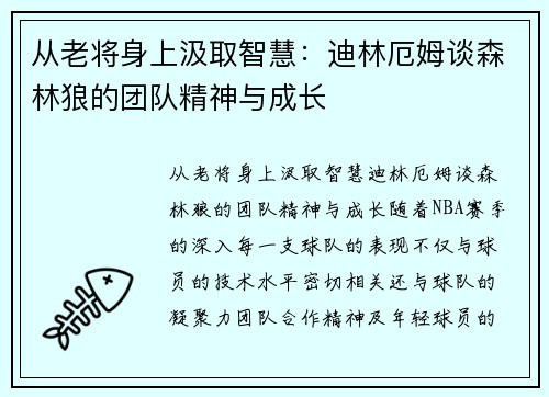 从老将身上汲取智慧：迪林厄姆谈森林狼的团队精神与成长